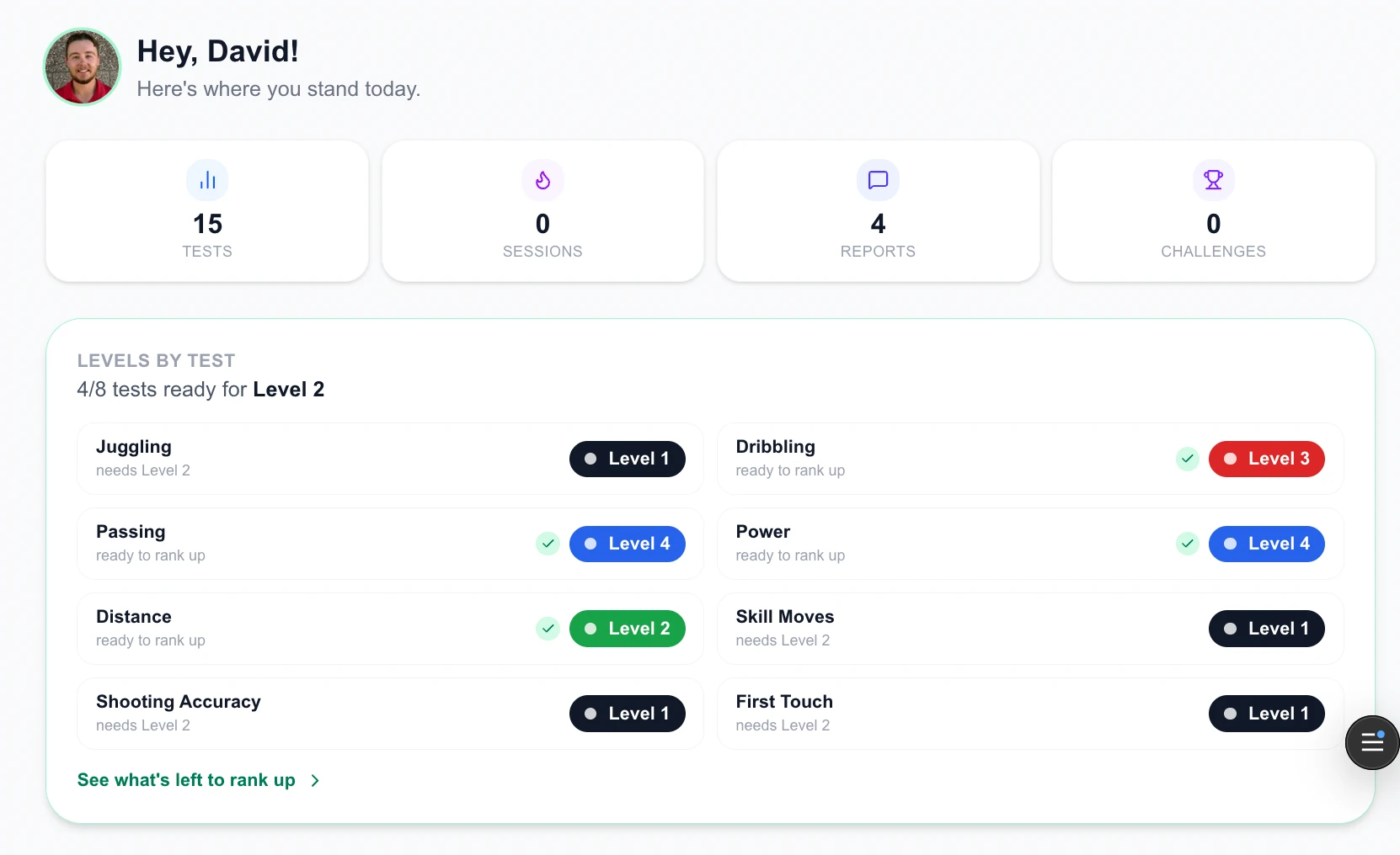 Player Dashboard home screen showing test, session and report counts alongside the current level in each of the eight tests